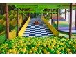 Bubba Play Indoor Play Zone Oklahoma OK, USA -883